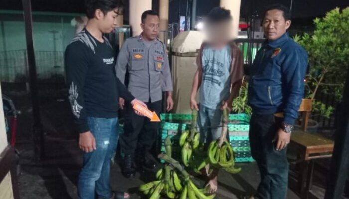 Polisi Mediasi Kasus Pencurian Pisang di Pati, Perdamaian Jadi Solusi Terbaik