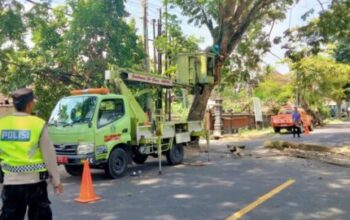 Bhabinkamtibmas Dangin Tukadaya Dampingi Pemangkasan Pohon Demi Kelancaran Lalu Lintas