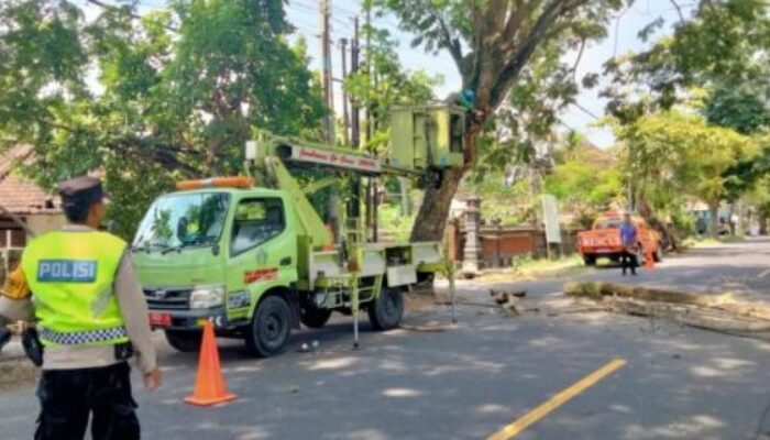 Bhabinkamtibmas Dangin Tukadaya Dampingi Pemangkasan Pohon Demi Kelancaran Lalu Lintas