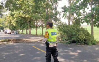 Bhabinkamtibmas Desa Dangin Tukadaya Pastikan Pemangkasan Pohon Berjalan Aman