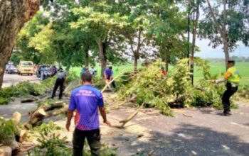 Cegah Bahaya Di Jalan, Bhabinkamtibmas Dangin Tukadaya Awasi Pemangkasan Pohon