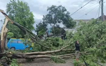 Cuaca Ekstrem Di Malang, Angin Kencang Dan Longsor Sebabkan Pohon