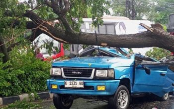 Dihantam Pohon Tumbang, Mobil Panther Di Semarang Alami Kecelakaan, 5