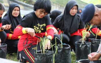 Dukung Asta Cita Presiden, Satbrimob Polda Kalteng Panen Jagung, Singkong,