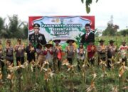 Dukung Program Nasional, Kapolres Lamandau Hadiri Panen Jagung Serentak 2025