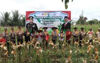 Dukung Program Nasional, Kapolres Lamandau Hadiri Panen Jagung Serentak 2025