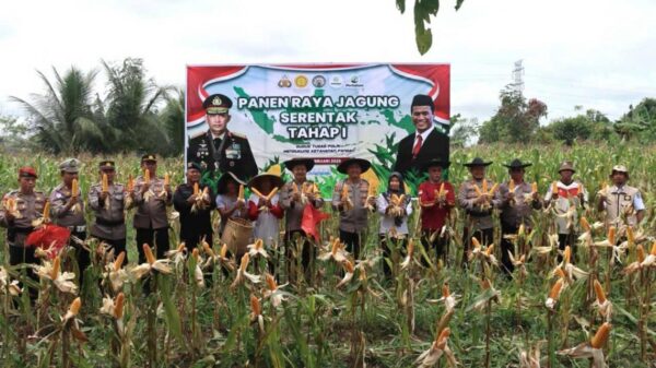 Dukung Program Nasional, Kapolres Lamandau Hadiri Panen Jagung Serentak 2025