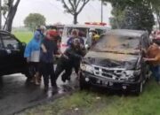 Hujan Deras, Pohon Tumbang Timpa Mobil Panther Berisi Satu Keluarga