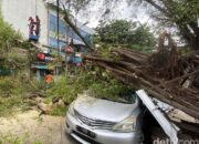 Hujan dan Angin Kencang, Pohon Tumbang di Hayamwuruk Semarang Timpa Mobil