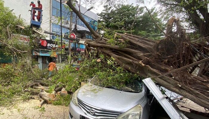 Hujan dan Angin Kencang, Pohon Tumbang di Hayamwuruk Semarang Timpa Mobil