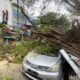 Hujan Dan Angin Kencang, Pohon Tumbang Di Hayamwuruk Semarang Timpa