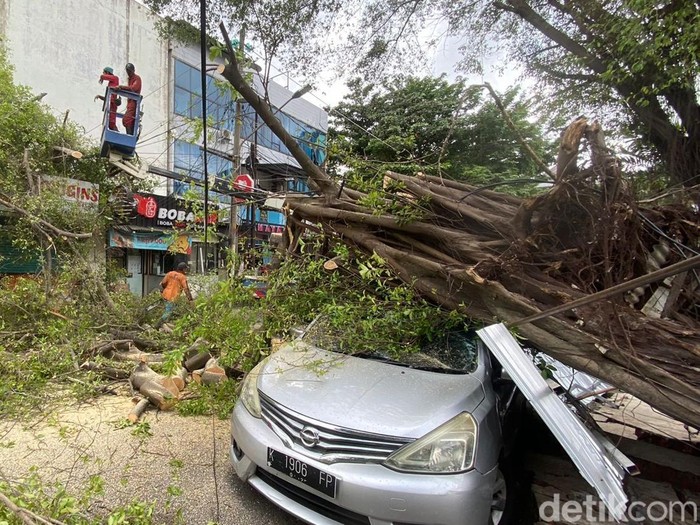 Hujan Dan Angin Kencang, Pohon Tumbang Di Hayamwuruk Semarang Timpa