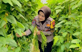 Inisiatif Brigadir Maya, Pekarangan Warga Karanganyar Berubah Jadi Kebun Subur