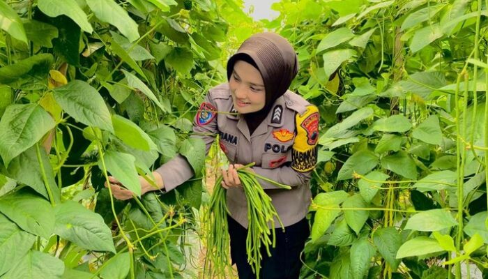 Inisiatif Brigadir Maya, Pekarangan Warga Karanganyar Berubah Jadi Kebun Subur