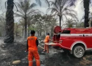 BPBD Pastikan Kebakaran Lahan di Lamandau Padam, 1 Hektare Hangus