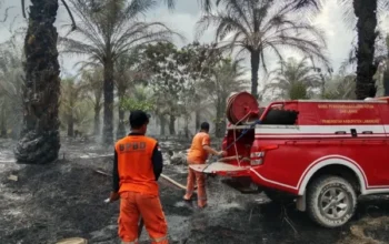 Kebakaran Lahan Di Lamandau Dapat Diatasi, Bpbd Catat 1 Hektare