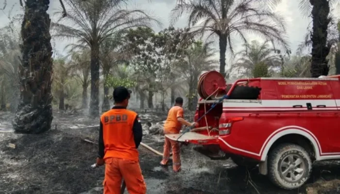 BPBD Pastikan Kebakaran Lahan di Lamandau Padam, 1 Hektare Hangus