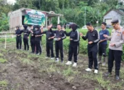 Ketahanan Pangan: Aiptu Sumeri Olah Lahan 500 Meter Jadi Kebun Jagung