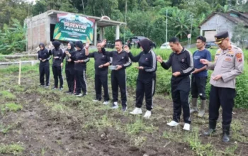 Ketahanan Pangan: Aiptu Sumeri Olah Lahan 500 Meter Jadi Kebun