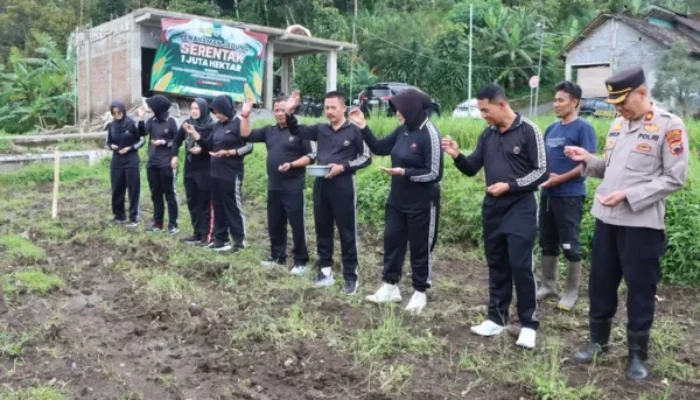 Ketahanan Pangan: Aiptu Sumeri Olah Lahan 500 Meter Jadi Kebun Jagung