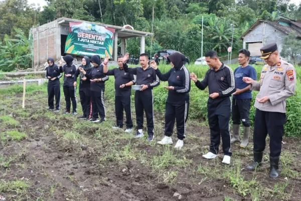 Ketahanan Pangan: Aiptu Sumeri Olah Lahan 500 Meter Jadi Kebun