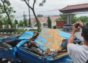 Mobil Keluarga di Semarang Hancur Tertimpa Pohon, Dua Penumpang Cedera