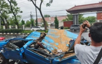 Mobil Keluarga Di Semarang Tertimpa Pohon, Dua Penumpang Alami Luka Luka