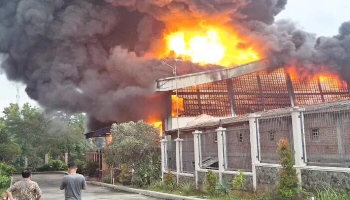 Api Melahap Pabrik Sepatu di Kalijambe Sragen, Petugas Berusaha Memadamkan