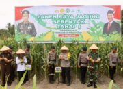 Panen Raya Jagung, Polda Kalteng Wujudkan Ketahanan Pangan Di Lahan