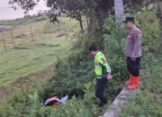 Pantura Sluke Rembang Makan Korban, Honda Cbr Tabrak Pembatas Jalan,