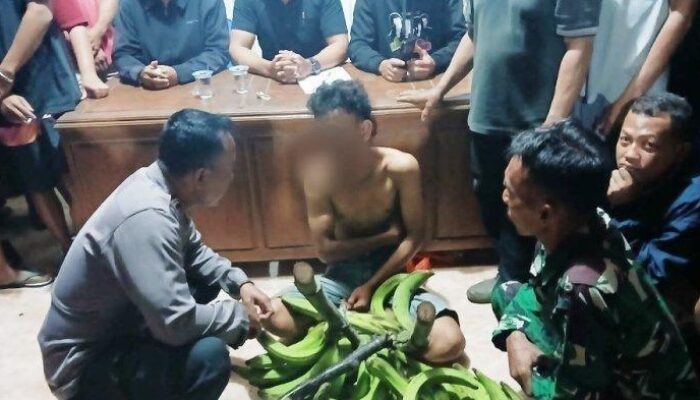 Pelajar SMA di Pati Tertangkap Curi Pisang, Polisi Beri Tanggapan