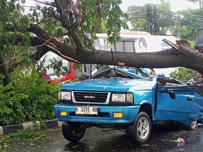 Pohon Tumbang Timpa Mobil Panther Di Ngaliyan Semarang, 5 Penumpang