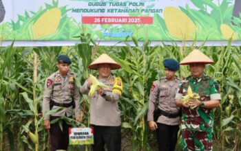 Polda Kalteng Panen Raya Jagung Perdana, Dukung Ketahanan Pangan