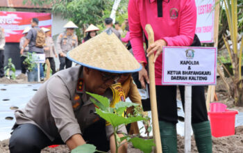 Polda Kalteng Dan Bhayangkari Inisiasi Pekarangan Pangan Lestari Dengan Tebar