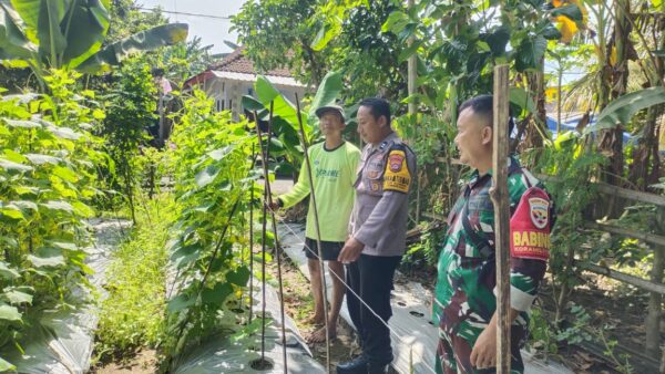 Polisi Dan Warga Bersinergi Wujudkan Pekarangan Pangan Bergizi Di Jembrana