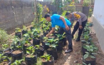 Polres Jembrana Dukung Pemberdayaan Warga Lewat Pekarangan Produktif