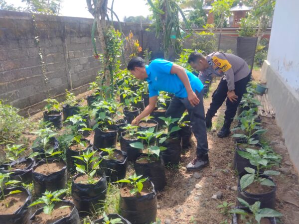 Polres Jembrana Dukung Pemberdayaan Warga Lewat Pekarangan Produktif