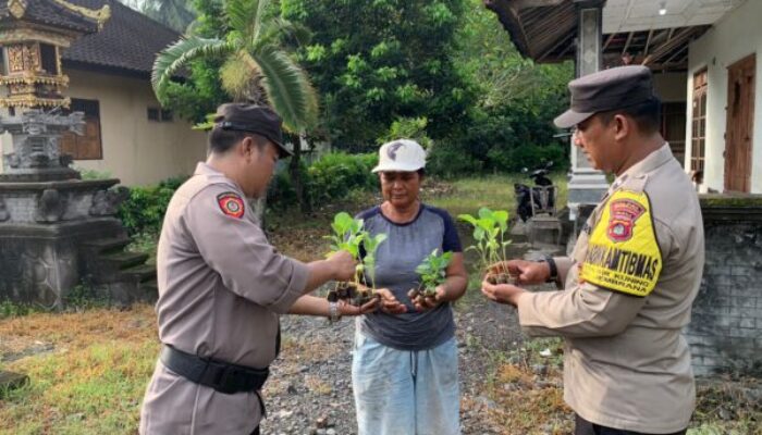 Polsek Kota Jembrana Distribusikan Bibit Cabai dan Terong untuk Warga Yeh Kuning