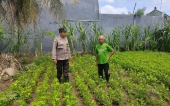 Polsek Negara Dukung Ketahanan Pangan, Bhabinkamtibmas Cek Pekarangan Bergizi Warga