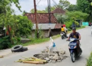 Jalan Berlubang di Toroh Ditambal Warga, Pemkab Grobogan Angkat Bicara