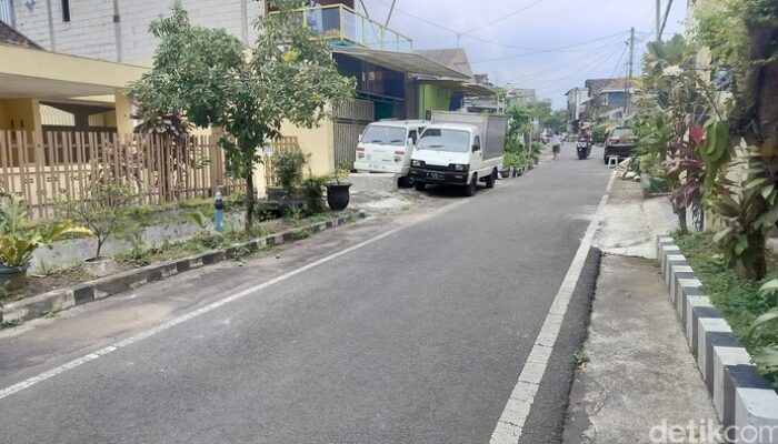 Puluhan Kucing Mati Mendadak di Kota Malang, Dugaan Peracunan Mencuat