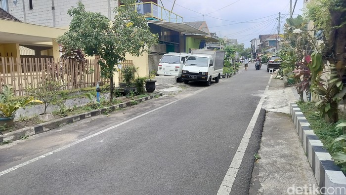 Puluhan Kucing Mati Mendadak Di Kota Malang, Dugaan Peracunan Mencuat