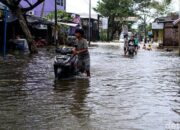 Ratusan Rumah Di Sayung Demak Terendam Banjir, Warga Diminta Waspada