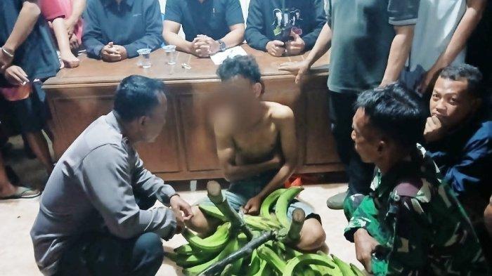 Remaja Yang Curi Pisang Di Pati Tak Ditahan, Justru Dapat