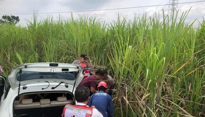 Serangan Jantung di Tengah Jalan, Sopir Kehilangan Kendali dan Masuk Ladang Tebu