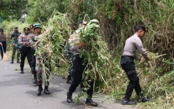 Sinergi Tni Polri, Karya Bakti Bersama Wujud Kebersamaan Untuk Negeri