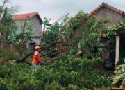 Sragen Dihantam Angin Kencang, 41 Rumah Di 8 Desa Alami