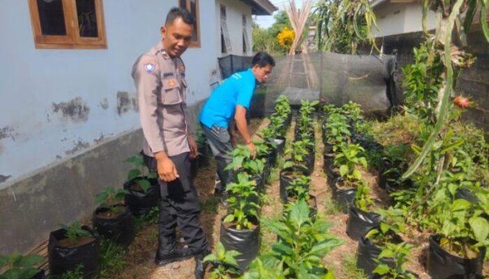 Bhabinkamtibmas Polres Jembrana Dukung Warga Wujudkan Pekarangan Produktif