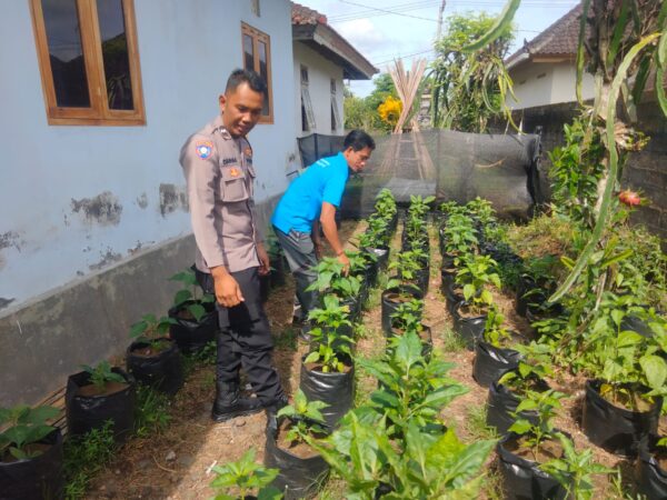 Wujudkan Pekarangan Produktif, Polres Jembrana Beri Dukungan Ke Warga