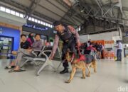 Amankan Stasiun Tawang, Polrestabes Semarang Turunkan Anjing Pelacak